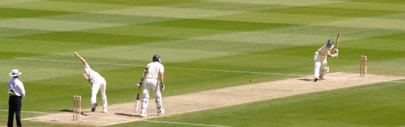 Playing Cricket